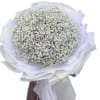White and very fluffy cloud of gypsophila flowers.
