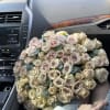 Unusual pink-purple roses with the addition of eucalyptus 