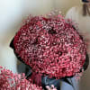 A bouquet of red gypsophila is a bold and deeply emotional choice.