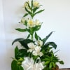 A living garden for your home or any occasion!  A beautiful