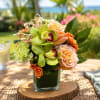 Peach and orange roses paired with vivid green orchids give this Summer