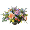 Peach roses, pink ranunculus, orange spray roses, light purple stock, blue delphinium