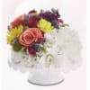Make their birthday the brightest day of the year! Our unique flower