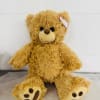 Plush teddy bear sitting on a light surface
