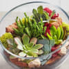 Glass bowl terrarium with assorted succulents and moss