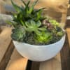 Succulent arrangement in a white bowl planter