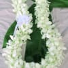 White orchid lei with a pale blue ribbon on green leaves