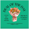 Bouquet of multicolored tulips wrapped in pink paper on a teal background