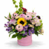 Mixed bouquet in a pink round box with a sunflower and pastel blooms