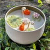 Perfect for that friend who has been wanting a fish or even