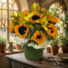 Bouquet of sunflowers in a green vase with white flowers below