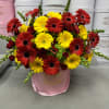 Bouquet of red and yellow daisies in a pink hatbox