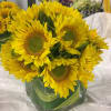 Sunflower arrangement in a square glass vase