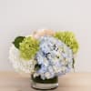 Hydrangea arrangement in a glass vase with blue, white, green, and peach blooms