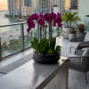 Potted purple orchids in a black planter on a balcony