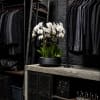 White orchids in a black bowl planter on a concrete counter