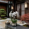 White orchid plant in a metallic pot on a stone bench
