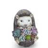 Select this ceramic hedgehog filled with a variety of succulents. 

Each planter