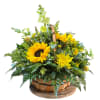 8" basket with sunflowers, cremons, and snapdragons.