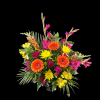 Tropical style arrangement with gerber daisies, gladiolas, and snapdragons