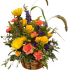 Breathtaking combination of yellow, orange, and purple flowers