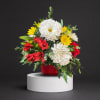 Red, white, and yellow chrysanthemum arrangement in a red vase
