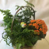 A gorgeous assortment of blooming and green plants arranged in an all