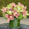 Pink and green orchids arranged in a glass vase