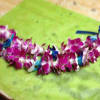 Purple and white orchid lei with blue ribbon accents on green paper