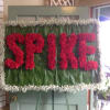 Red floral spray spelling "SPICE" on a green leaf background