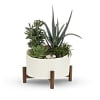 Potted succulent arrangement in a white planter on wooden legs