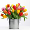 Assorted Tulips