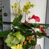 Basket arrangement with yellow orchids, red anthuriums, and orange flowers