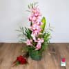 Tall arrangement of pink cymbidium orchids in a green-lined glass cube with two red roses beside it