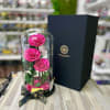 Three bright pink roses under a glass dome with black base beside a tall black gift box.