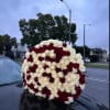 Large bouquet of red and white roses resting on a car hood