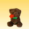 Brown teddy bear holding a red rose
