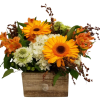 A showing of blooms in a rustic container such as:  Hydrangea