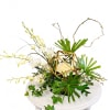 Make a bold statement with The Orchid Prism Bouquet, a captivating arrangement