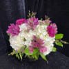 Arrangement includes White Hydrangea, Purple Spiders, Fuscia Carnations, Fuscia Alstromeria and Wax