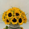 Bouquet of yellow sunflowers in a white bowl vase