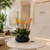 Potted orchid arrangement with yellow and pink blooms in a black bowl planter