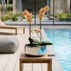 Potted orchid arrangement with peach blooms in a reflective bowl