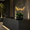 Potted orchid arrangement with yellow and peach blooms in a black planter