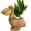 Pelican-shaped planter with green foliage and white stones