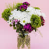A dense cloud of white daisy-like blooms meets pops of magenta and