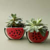 Two succulents in painted watermelon-shaped planters