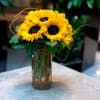 Sunflower bouquet in a tall glass vase