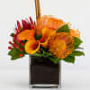 Orange calla lilies and pincushion protea in a square glass vase