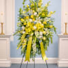 A radiant standing spray that greets a room like the first light